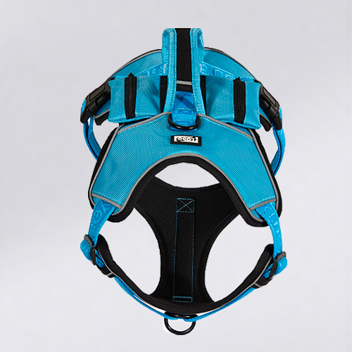 Dog Collar Factory Supplier Custom Pet Collar for All Size Dogs and Cats